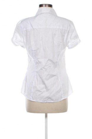 Damenbluse Esprit, Größe M, Farbe Weiß, Preis 17,00 €