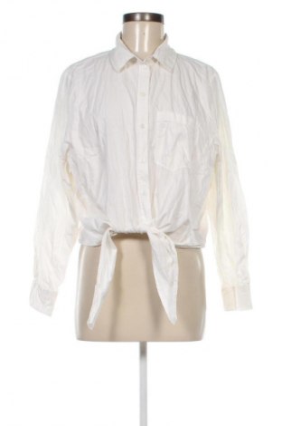 Damenbluse H&M, Größe L, Farbe Ecru, Preis € 23,81