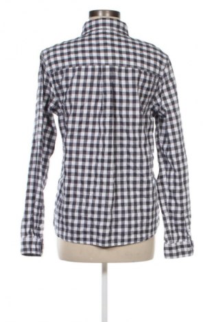 Damenbluse Mango, Größe L, Farbe Mehrfarbig, Preis 13,82 €