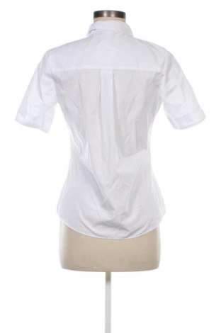 Damenbluse Next, Größe S, Farbe Weiß, Preis € 13,99