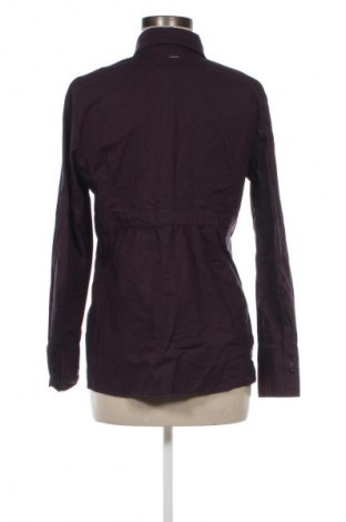 Damenbluse S.Oliver, Größe L, Farbe Lila, Preis € 64,99