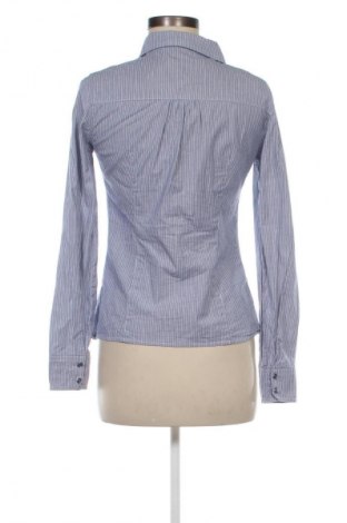 Damenbluse Terranova, Größe M, Farbe Mehrfarbig, Preis € 7,99