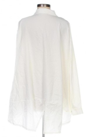 Damenbluse Unbranded, Größe XL, Farbe Ecru, Preis 17,99 €