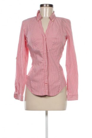 Damenbluse Zara, Größe M, Farbe Mehrfarbig, Preis 13,80 €