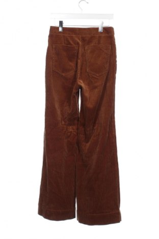 Pantaloni de velvet de femei Massimo Dutti, Mărime XS, Culoare Maro, Preț 95,99 Lei