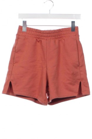 Damen Shorts Adidas Originals, Größe XS, Farbe Orange, Preis 46,65 €