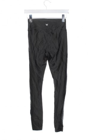 Damen Leggings SOC, Größe XS, Farbe Grau, Preis € 7,99