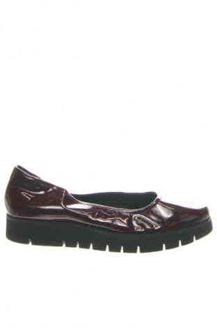 Damenschuhe Geox, Größe 41, Farbe Rot, Preis € 61,99