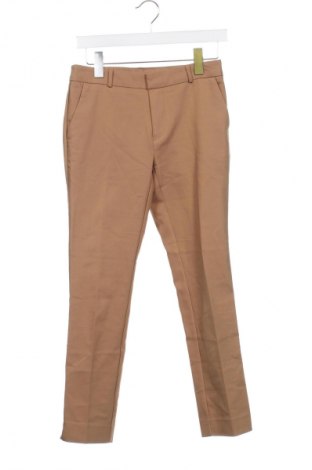 Damskie spodnie Stradivarius, Rozmiar XS, Kolor Brązowy, Cena 36,99 zł