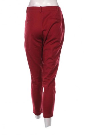 Damenhose Zara, Größe XL, Farbe Rot, Preis 14,00 €