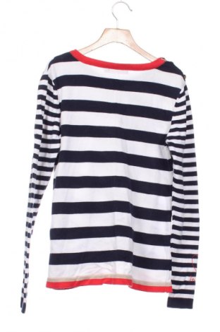 Damski sweter Desigual, Rozmiar XS, Kolor Kolorowy, Cena 160,11 zł