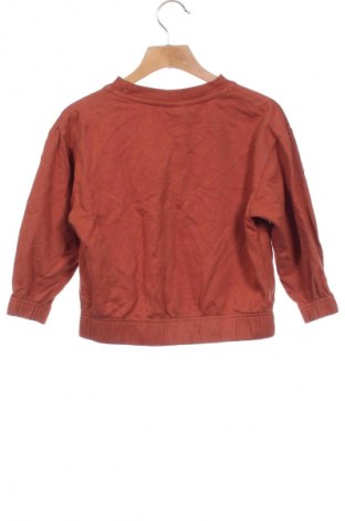 Kinder Shirt Disney x C&A, Größe 4-5y/ 110-116 cm, Farbe Braun, Preis 4,99 €