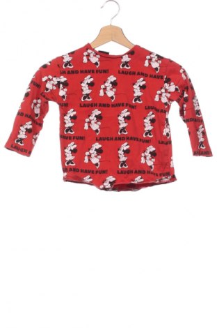 Παιδική μπλούζα Zara, Μέγεθος 2-3y/ 98-104 εκ., Χρώμα Πολύχρωμο, Τιμή 7,16 €