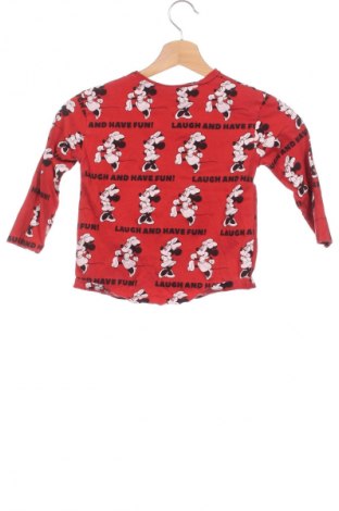 Παιδική μπλούζα Zara, Μέγεθος 2-3y/ 98-104 εκ., Χρώμα Πολύχρωμο, Τιμή 7,16 €