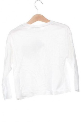 Детска блуза Zara, Размер 4-5y/ 110-116 см, Цвят Многоцветен, Цена 14,00 лв.
