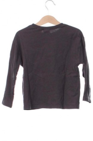 Детска блуза Zara, Размер 4-5y/ 110-116 см, Цвят Многоцветен, Цена 14,00 лв.