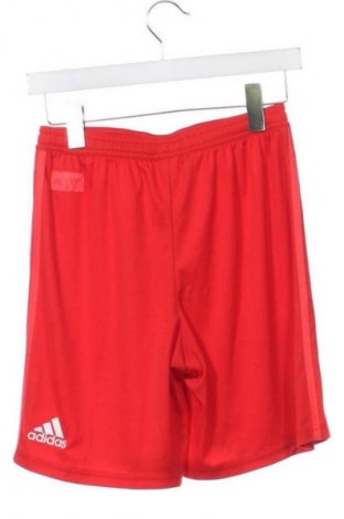 Kinder Shorts Adidas, Größe 12-13y/ 158-164 cm, Farbe Rot, Preis € 31,71