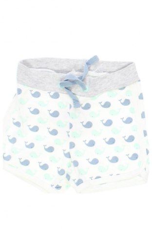 Kinder Shorts Unbranded, Größe 12-18m/ 80-86 cm, Farbe Mehrfarbig, Preis € 7,16