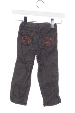 Pantaloni pentru copii Harley-Davidson, Mărime 4-5y/ 110-116 cm, Culoare Gri, Preț 42,99 Lei