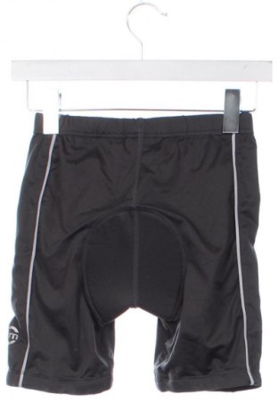 Pantaloni de trening, pentru copii Unbranded, Mărime 11-12y/ 152-158 cm, Culoare Gri, Preț 67,99 Lei
