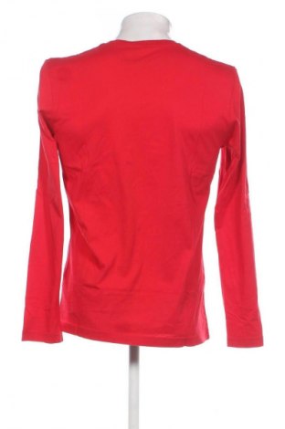 Herren Shirt Tom Tailor, Größe L, Farbe Rot, Preis € 13,81