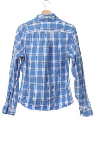 Herrenhemd Abercrombie & Fitch, Größe M, Farbe Mehrfarbig, Preis € 17,39