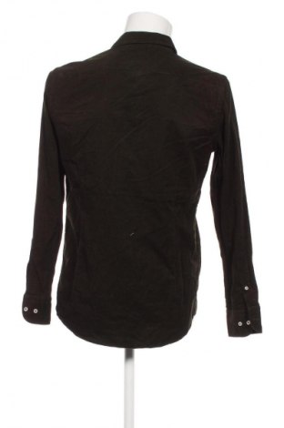 Ανδρικό πουκάμισο Massimo Dutti, Μέγεθος M, Χρώμα Πράσινο, Τιμή 35,99 €