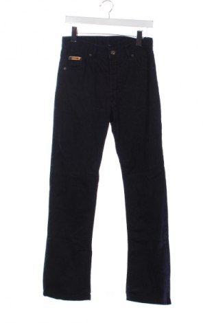 Herrenhose Unbranded, Größe S, Farbe Blau, Preis € 13,99