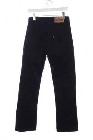 Herrenhose Unbranded, Größe S, Farbe Blau, Preis € 13,99