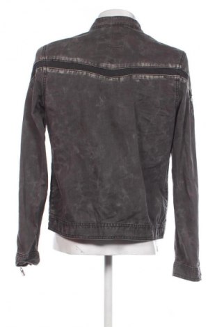 Herrenjacke Pascucci, Größe XL, Farbe Grau, Preis € 31,68