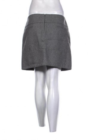 Φούστα Peserico, Μέγεθος XL, Χρώμα Γκρί, Τιμή 62,96 €