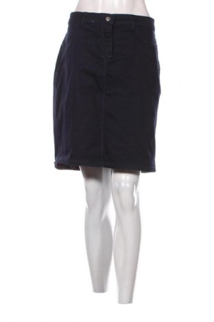 Φούστα Unbranded, Μέγεθος L, Χρώμα Πολύχρωμο, Τιμή 14,83 €