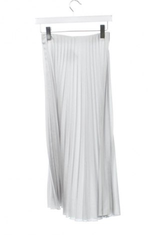 Rock Zara, Größe XS, Farbe Grau, Preis € 13,81