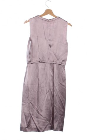 Kleid BOSS, Größe XS, Farbe Aschrosa, Preis € 102,00