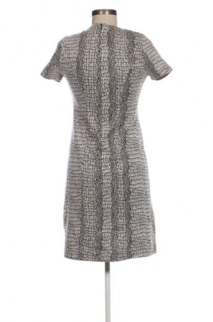 Kleid Batida, Größe S, Farbe Mehrfarbig, Preis 8,99 €