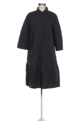 Kleid Betty Barclay, Größe XL, Farbe Blau, Preis 56,99 €