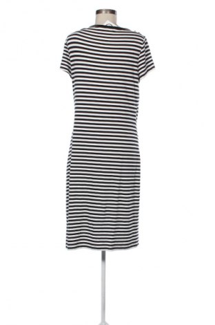 Kleid Betty Barclay, Größe L, Farbe Mehrfarbig, Preis € 42,00