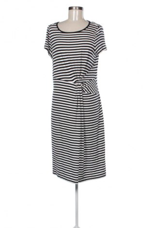 Kleid Betty Barclay, Größe L, Farbe Mehrfarbig, Preis € 42,00