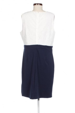 Kleid Body Flirt, Größe XL, Farbe Mehrfarbig, Preis 15,00 €