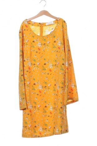 Kleid Cache Cache, Größe XS, Farbe Mehrfarbig, Preis € 8,99