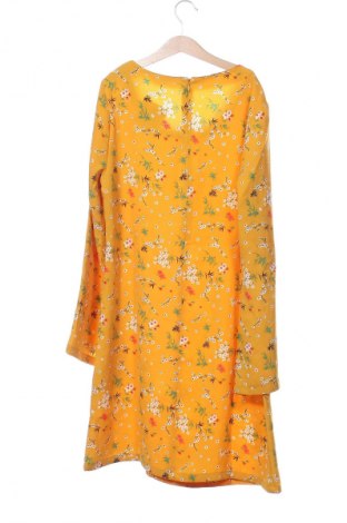 Kleid Cache Cache, Größe XS, Farbe Mehrfarbig, Preis € 8,99