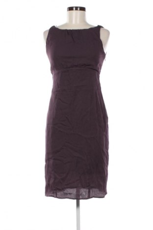 Sukienka Caractere, Rozmiar M, Kolor Fioletowy, Cena 132,99 zł