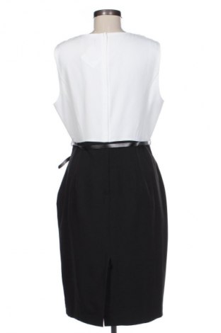 Kleid Dorothy Perkins, Größe XL, Farbe Mehrfarbig, Preis 14,00 €