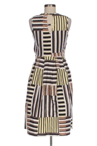 Sukienka Dorothy Perkins, Rozmiar M, Kolor Kolorowy, Cena 78,40 zł