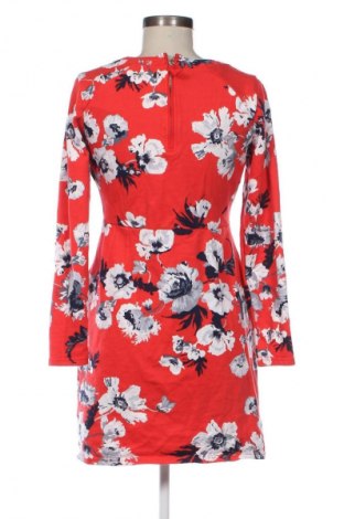 Kleid Joules, Größe M, Farbe Mehrfarbig, Preis 25,99 €