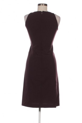 Šaty  Kenneth Cole, Veľkosť S, Farba Fialová, Cena  59,34 €