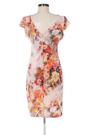 Φόρεμα Miss Chic, Μέγεθος L, Χρώμα Πολύχρωμο, Τιμή 14,83 €