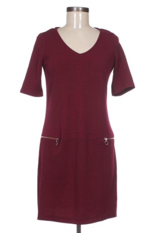Sukienka Phase Eight, Rozmiar XL, Kolor Fioletowy, Cena 189,00 zł