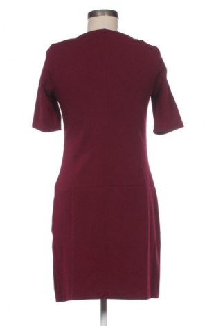 Sukienka Phase Eight, Rozmiar XL, Kolor Fioletowy, Cena 189,00 zł