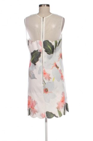 Kleid Ted Baker, Größe L, Farbe Mehrfarbig, Preis 109,99 €
